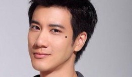 吃瓜网红王力宏简介资料,从音乐才子到吃瓜网红的华丽转身